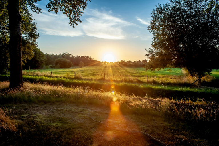 Koop Cultuurtechniek | landinrichting, natuurbeheer en infrastructuur