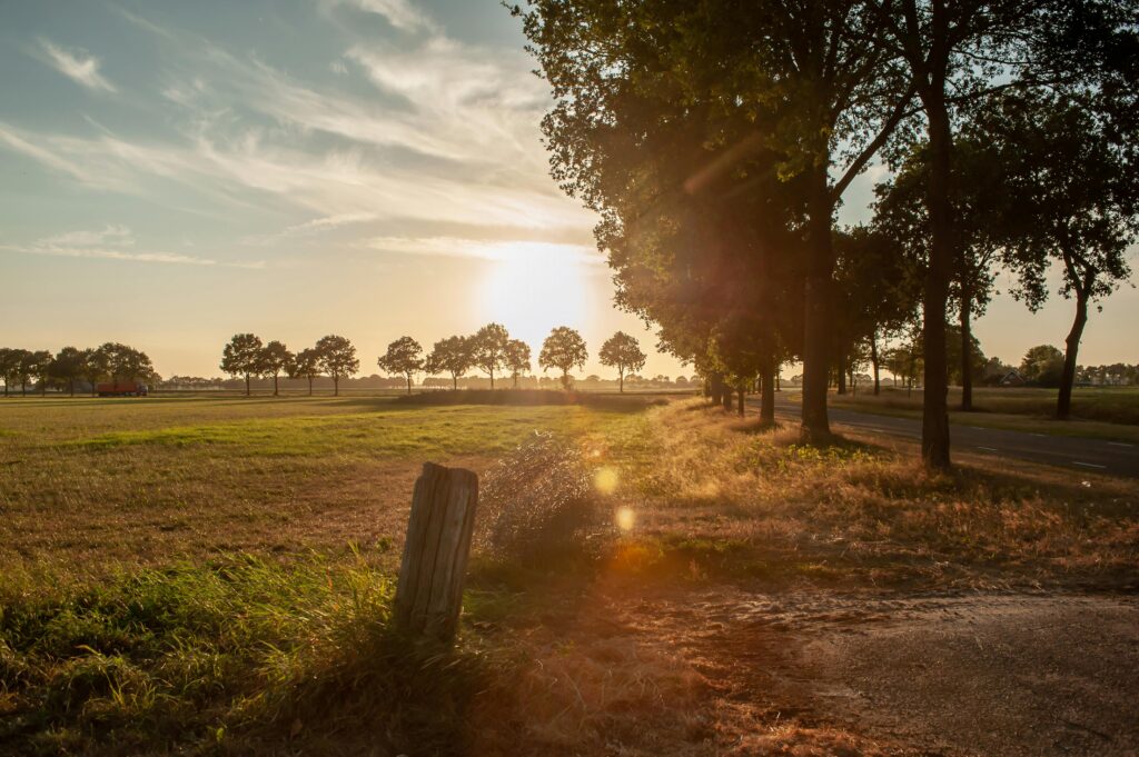 Koop Cultuurtechniek | landinrichting, natuurbeheer en infrastructuur